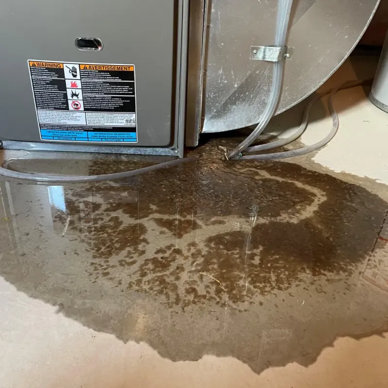 Appliance Leak Cleanup in Hayden, CO