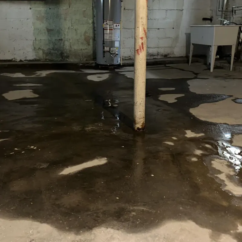 Emergency Water Extraction And Removal in Hayden, CO